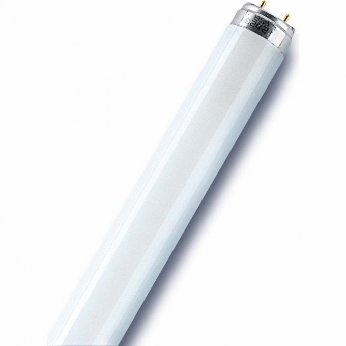 Лампа люминесцентная OSRAM L 36W/765 36Вт T8 6500К G13 4008321959836